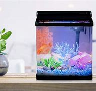 Image result for 4 Gallon Fish Tank