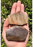 Image result for Petrified Wood Sphere