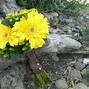 Image result for Yellow and Lime Green Flowers