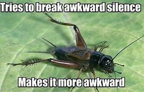 Image result for Funny Cricket Memes Insects