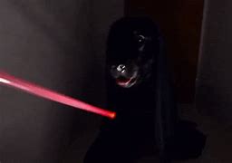 Image result for Star Wars Dog Meme