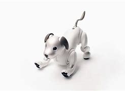 Image result for Robotic Therapy Pets