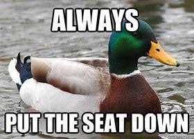 Image result for Put the Seat Down Meme