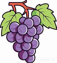 Image result for Grape Stem