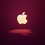 Image result for iPhone 5 Apple Logo