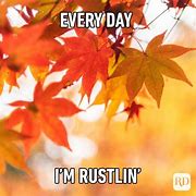 Image result for Fall Weather Memes