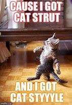 Image result for Strutting Cat Meme