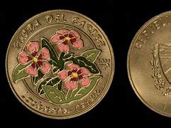 Image result for 1800 Coins with Flowers around the Face Size of a Penny