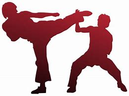 Image result for Martial Arts Silhouette