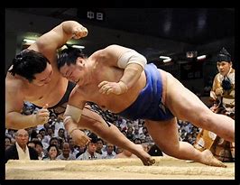 Image result for Sumo Wrestling Art