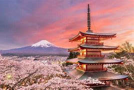 Image result for Best Views of Mount Fuji From Tokyo