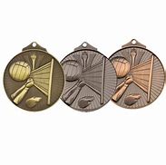 Image result for Personalized Volleyball Medals