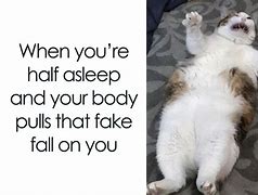 Image result for Cow and Cat Meme