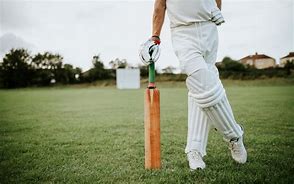 Image result for Cricket Pads with Free Forms