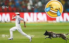 Image result for Funny Cricket