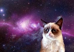 Image result for Cute Galaxy Cat