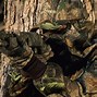 Image result for Realtree Hardwoods Camo