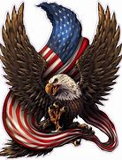 Image result for Bald Eagle with American Flag Decal