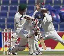 Image result for Funny Cricket Pics