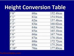 Image result for Human Compared to 29 Inches