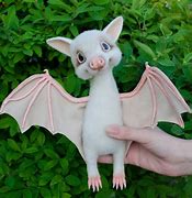 Image result for White Bat Toy