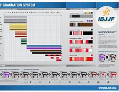 Image result for Jiu Jitsu Grading System