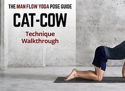 Image result for Cat Is Cow