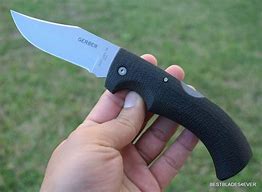 Image result for Clip Point Hunting Knife