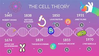 Image result for The Cell Biology Timeline