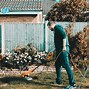 Image result for Weed Wacker vs BlackBerry