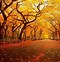 Image result for Autumn City