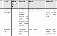 Image result for Class 12 Evolution Table