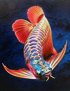 Image result for Ram Fish Types