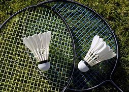 Image result for Badminton Back Yard