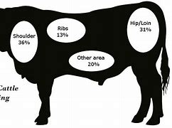 Image result for Brute Cattle Equipment Logo