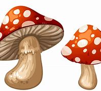 Image result for Whimsical Mushrooms Clip Art
