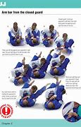 Image result for Brazilian Jiu Jitsu Positions