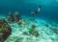 Image result for Costa Rica Snorkeling