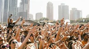 Image result for Lollapalooza Concert