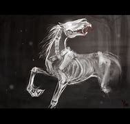 Image result for Galloping Ghost Horse