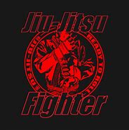 Image result for Jiu Jitsu Fighter