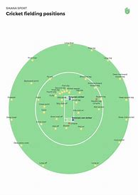 Image result for Cricket Fielding Positions