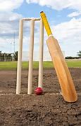 Image result for Cricket Bat and Wickets