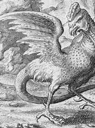 Image result for Cockatrice Heraldry