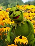 Image result for Cursed Kermit Costume