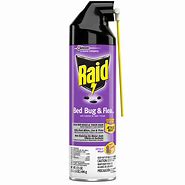 Image result for Raid Bed Bug Spray