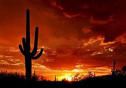 Image result for Arizona Desert Sunset Wallpapers for Desktop