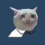 Image result for Crying Cat Text Meme