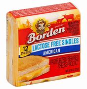 Image result for Lactose Free American Cheese