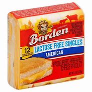 Image result for Lactose Free Cheese Slices